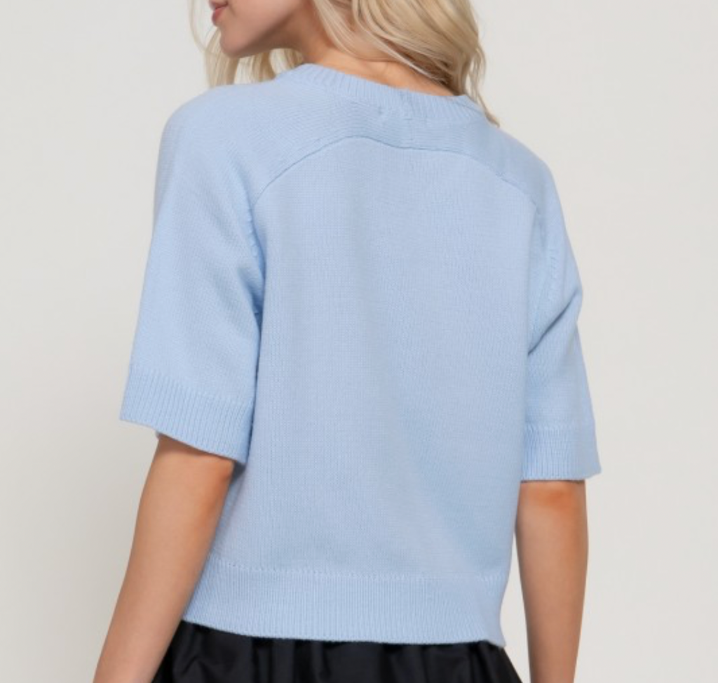 Bleu Sweater Top